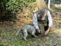 A hunt for white truffles in Alba
