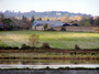 Countryside in Waterford